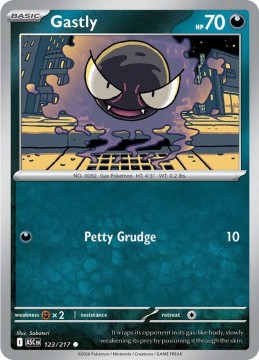 Gastly ENERGY PATTERN #123 - Pokemon Ascended Heroes