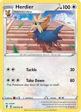 Herdier #134 - Pokemon Evolving Skies