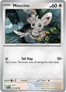 Minccino REVERSE HOLO #75 - Pokemon Black Bolt