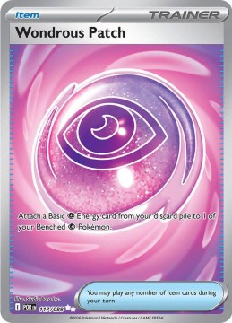 Wondrous Patch #117 - Pokemon Perfect Order